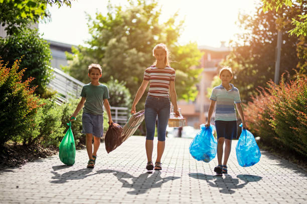Professional Junk Removal in Millport, AL
